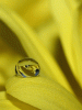 anim240320mobildesign.atw.hu_0234.gif